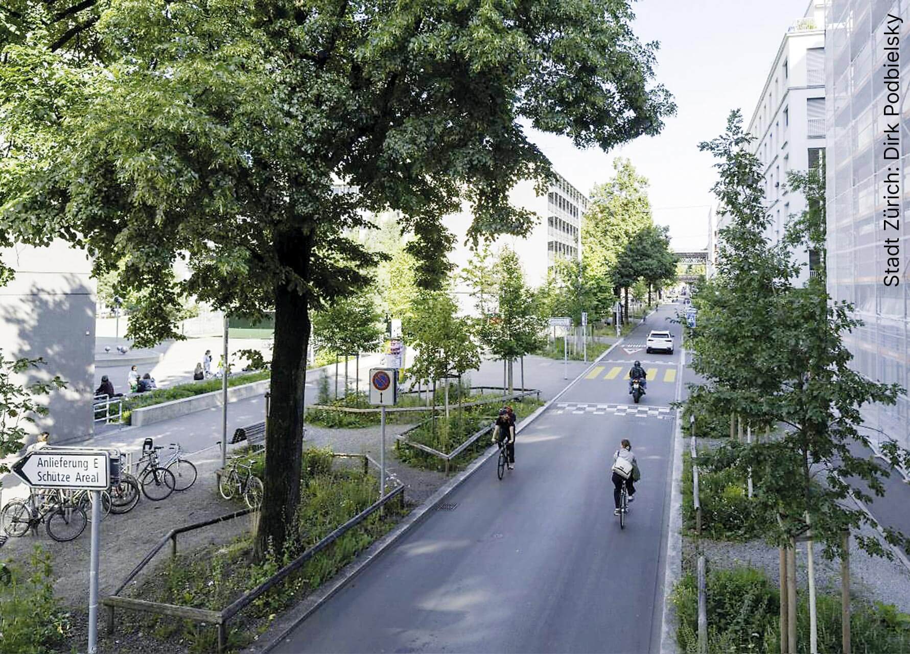 Velofahrende zwischen schattenspendenden Grünstreifen auf der Heinrichstrasse.